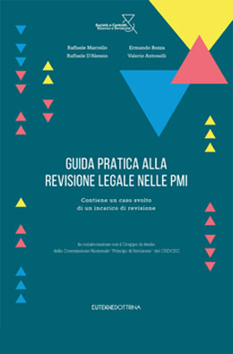 Guida pratica alla revisione legale nelle PMI